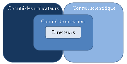 Schéma de gouvernance du LMI COSYS-Med