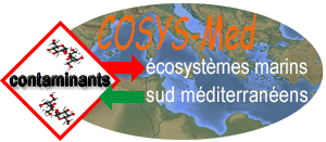 Cosys-Med